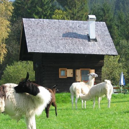 Huette Zum Verlieben Gurk Dış mekan fotoğraf
