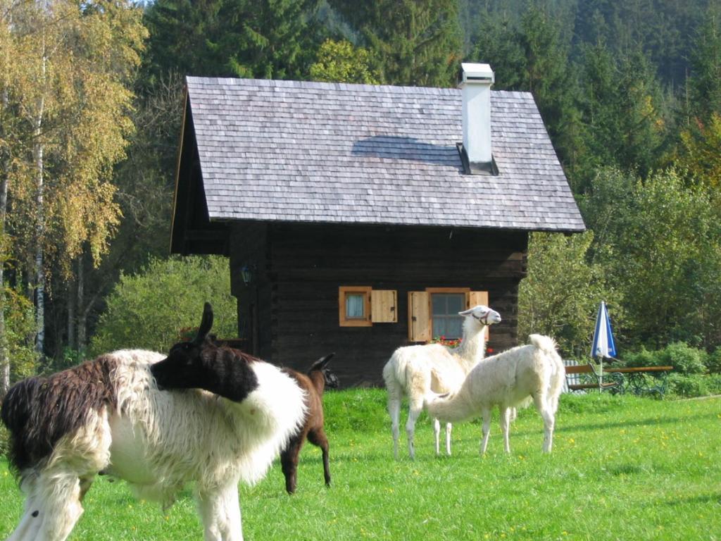 Huette Zum Verlieben Gurk Dış mekan fotoğraf